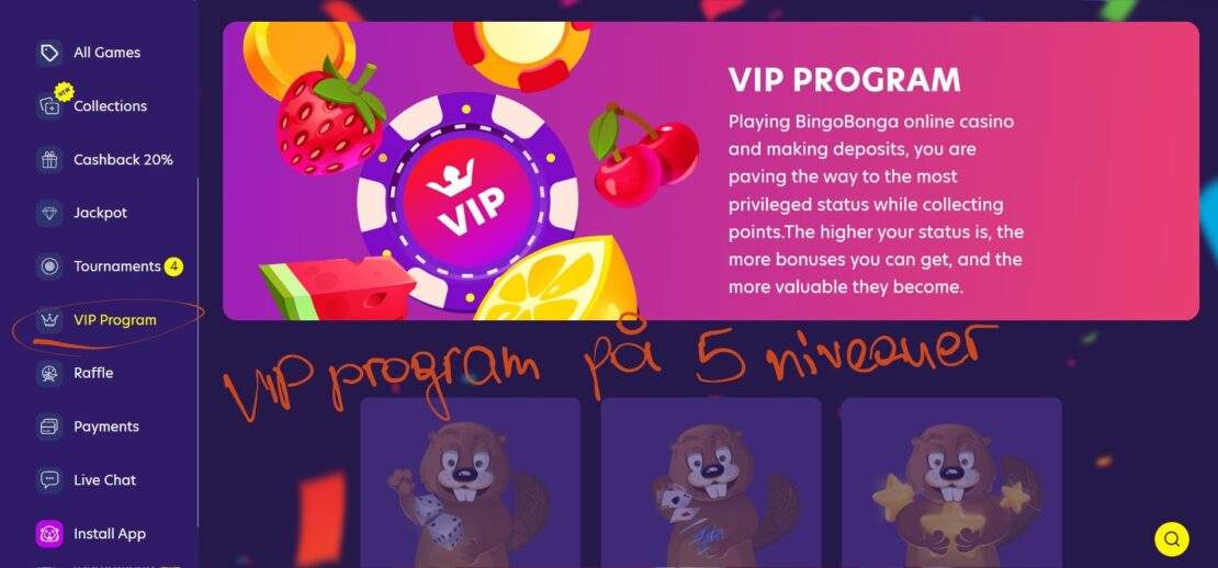 bingobonga udenlandsk casino VIP program